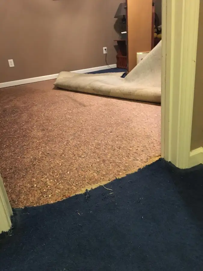 Carpet pad removal revealing water damage during Water Mitigation Services in Brent