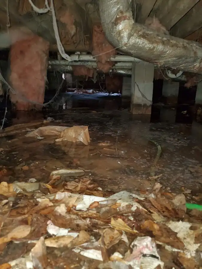 Crawl space flood assessment for Leak Detection & Repair in Brent