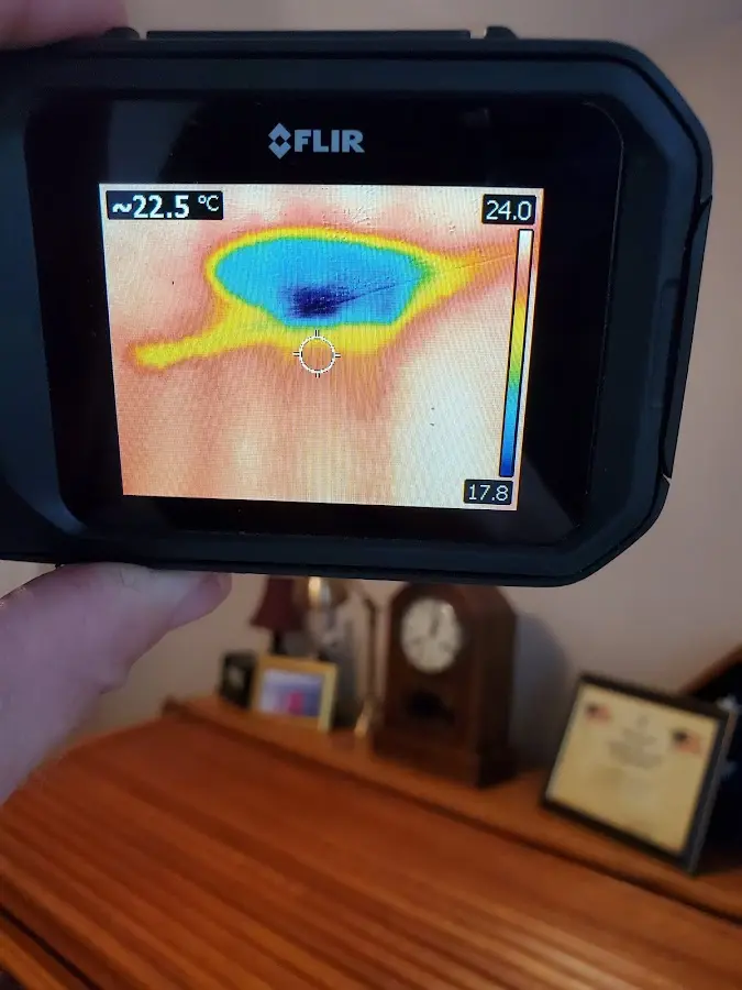 Thermal imaging inspection for water damage in Brent