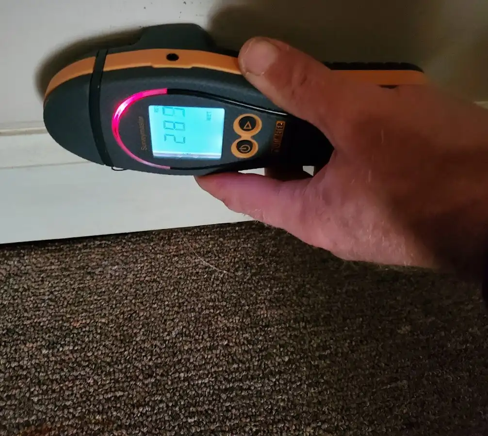 Moisture detection at baseboard during Sewage Cleanup & Sanitation in Brent